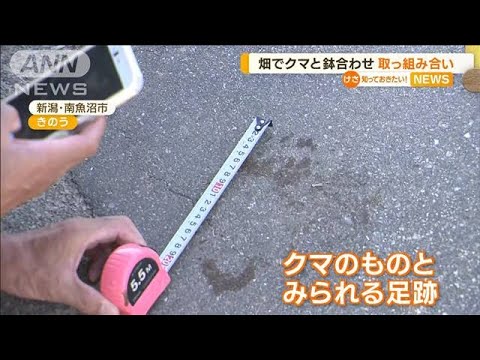 クマと畑で鉢合わせ　取っ組み合い…70代夫婦けが　新潟【知っておきたい！】(2023年9月4日)