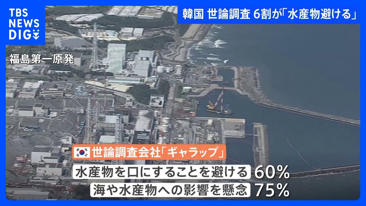 韓国&nbsp;処理水放出後「海や水産物への影響懸念」75％&nbsp;世論調査&nbsp;6割が「水産物避ける」｜TBS&nbsp;NEWS&nbsp;DIG