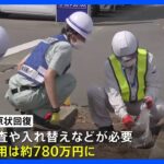 神奈川県が「ビッグモーター」に原状回復費に約780万円請求　街路樹問題めぐり｜TBS NEWS DIG