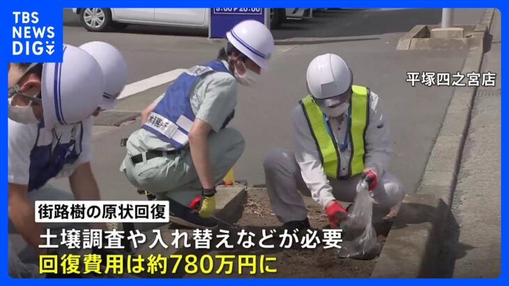 神奈川県が「ビッグモーター」に原状回復費に約780万円請求　街路樹問題めぐり｜TBS NEWS DIG
