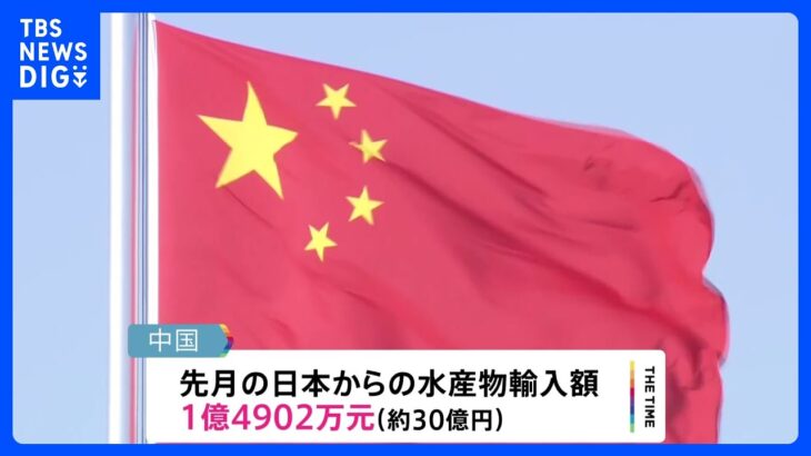 中国8月の日本水産物輸入 去年比67%余り減　処理水放出受けた日本産水産物輸入の全面禁止が影響｜TBS NEWS DIG