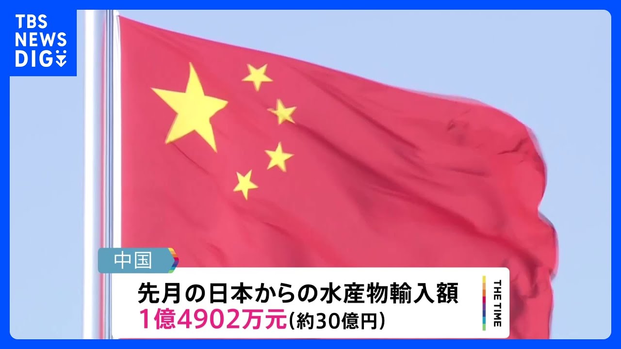 中国8月の日本水産物輸入&nbsp;去年比67%余り減　処理水放出受けた日本産水産物輸入の全面禁止が影響｜TBS&nbsp;NEWS&nbsp;DIG