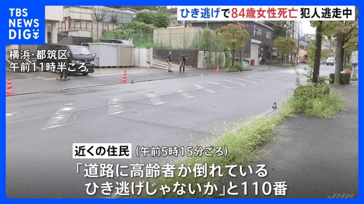 横浜市でひき逃げ　84歳女性死亡　犯人は逃走中｜TBS NEWS DIG
