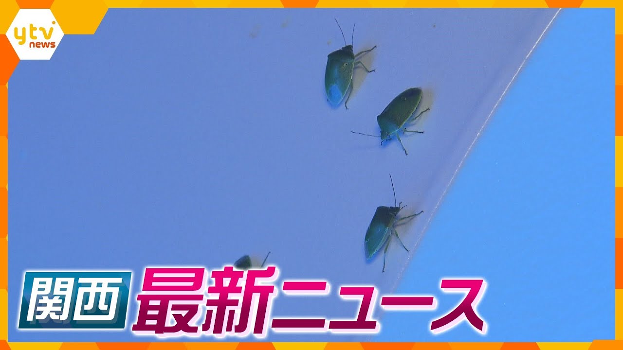 【ニュースライブ 9/26(火)】カメムシが大量発生！/「てんかん専門」薬局が大阪にオープンへ/特殊詐欺グループのリーダー自宅に1億円以上の現金　ほか【随時更新】