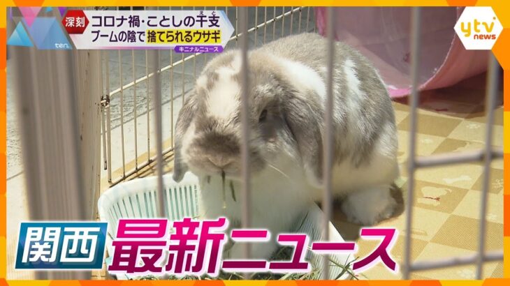 【ニュースライブ 9/8(金)】ウサギ保護団体 適正な飼育を訴え /G20首脳会議あす開幕！現地報告/法隆寺の駐車場の植え込みは“古墳” 　ほか【随時更新】