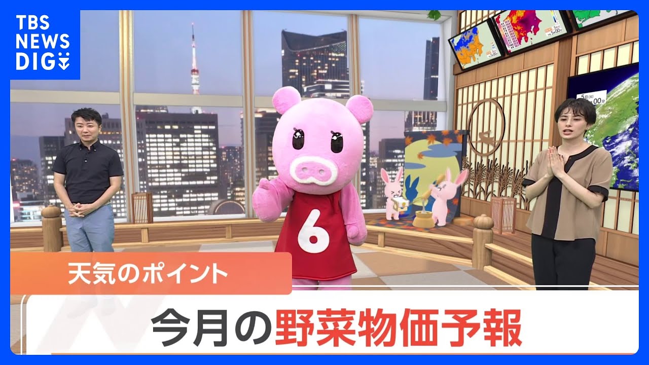 【9月6日&nbsp;関東の天気】今月の野菜物価予報｜TBS&nbsp;NEWS&nbsp;DIG