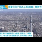 新型コロナ「BA.2.86系統」東京で初確認(2023年9月8日)