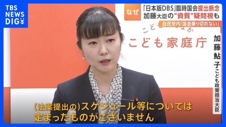 加藤こども政策担当大臣「日本版DBS」について法案の提出時期は“白紙”　自民党内からは「政治とカネの問題の対応で政策の話が進まない」の声も｜TBS NEWS DIG