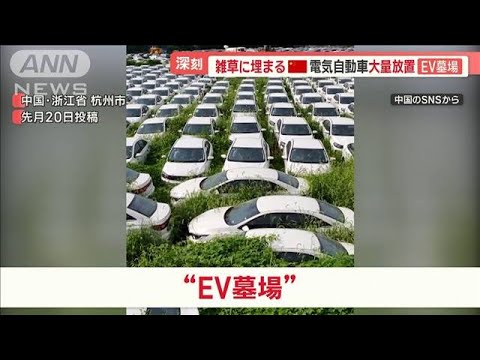 「EV墓場」大量放置が中国で問題に…電気自動車急成長も「負の遺産」　シェア自転車も【羽鳥慎一 モーニングショー】(2023年9月28日)
