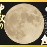 【お月見ライブ】中秋の名月×満月　次に見られるのは2030年！／2023年9月29日(金) #TBS映像取材部