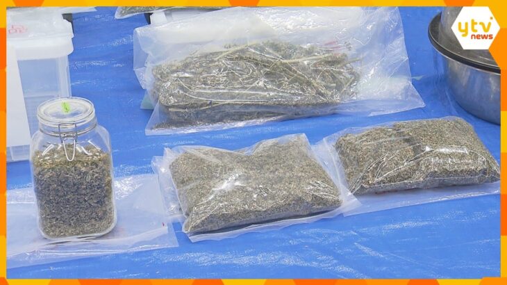 自宅で大麻栽培した男を逮捕・起訴　末端価格で1000万円超「量が増えてきたので友人に売っていた」