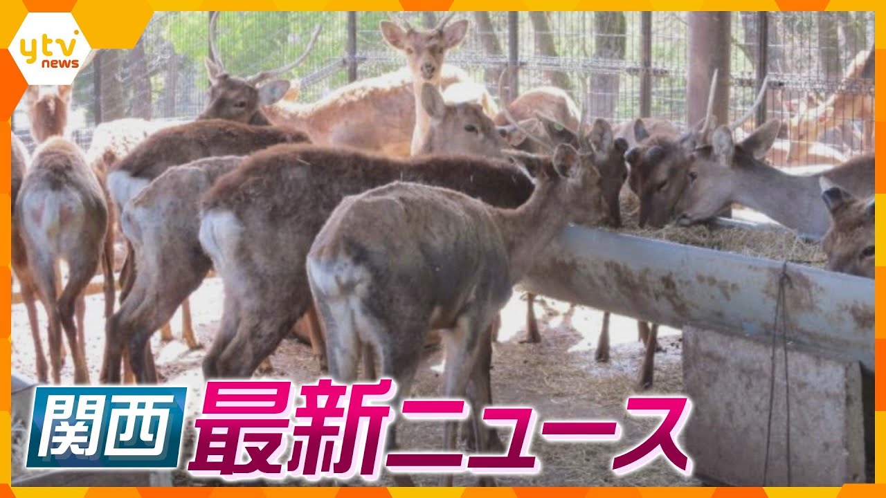 【ニュースライブ 10/4(水)】「奈良のシカ」保護施設で”虐待”疑う通報/どうなる？”ひらパー兄さん”/誹謗中傷の投稿をした疑いで女逮捕　ほか【随時更新】