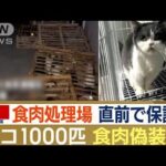 “ネコ1000匹”食肉処理場直前で…中国警察が保護　ネコ肉売買の裏に“食肉偽装”か(2023年10月27日)