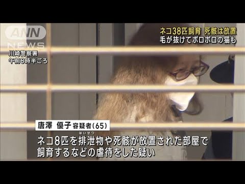 10畳の部屋に38匹飼育　ネコ虐待“多頭飼育崩壊”か　女を逮捕　川崎市(2023年10月19日)