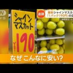 “1パック190円”あった!?シャインマスカット　「世界一かも」…奈良の店で激安の理由【もっと知りたい！】(2023年10月17日)