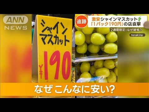 “1パック190円”あった!?シャインマスカット　「世界一かも」…奈良の店で激安の理由【もっと知りたい！】(2023年10月17日)