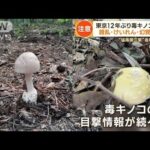 キノコ大量発生　“猛毒御三家”発見　東京で12年ぶり食中毒被害【詳細版】【もっと知りたい！】(2023年10月2日)