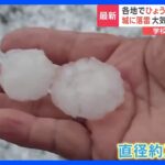 大気不安定　各地で「ひょう」が相次ぐ　直径2センチほどの大きさも　広島では学校で突風　テントが倒れてけが人も｜TBS NEWS DIG