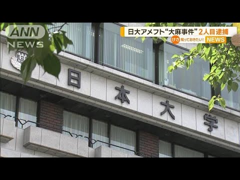 日大アメフト部“大麻事件”　2人目逮捕を受け…日大「原因究明と再発防止に全力で」【知っておきたい！】(2023年10月17日)