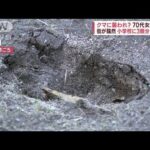 「怖い」2メートルの塀を飛び越えたか　クマに襲われ？79歳女性死亡(2023年10月18日)