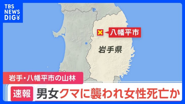 キノコ採り中の男女2人がクマに襲われ女性死亡か　岩手・八幡平市の山林｜TBS NEWS DIG