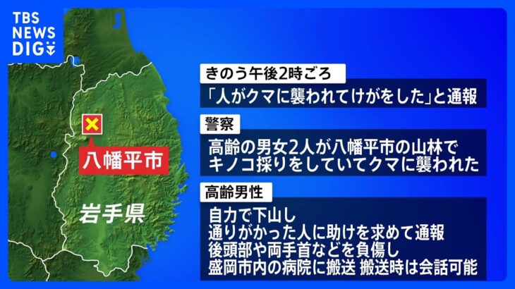 キノコ採り中に高齢の男女2人がクマに襲われる　男性は自力で下山し病院へ搬送　女性1人の遺体見つかる　岩手・八幡平市｜TBS NEWS DIG