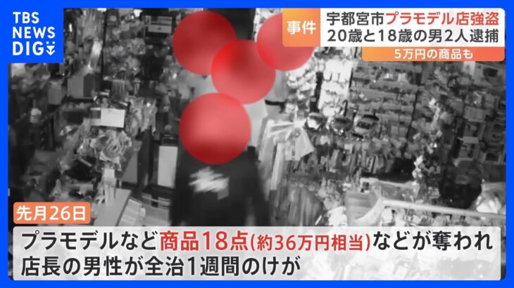 プラモデル店の強盗傷害事件 20歳と18歳の男2人逮捕　残る2人は逃走中　栃木・宇都宮市｜TBS NEWS DIG