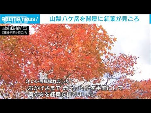 八ケ岳を背景に…東沢大橋で紅葉が見ごろ 山梨(2023年10月28日)