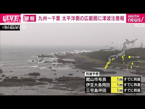 高速船など欠航や運航待機　東海汽船(2023年10月9日)