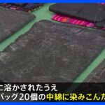 バッグ20個の中綿に覚醒剤をしみ込ませ…6400万円相当をグアテマラから密輸しようとした疑い　アメリカ人の女を告発 東京税関｜TBS NEWS DIG