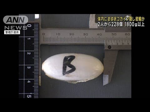 体内にまゆ状コカイン隠し密輸か　2人から228個1800g以上(2023年10月3日)