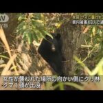 クマに襲われ2人けが　秋田県内の被害43人で過去最多(2023年10月16日)