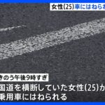 レジャー帰りに女性はねる事故　25歳女性が意識不明　運転していた男（51）逮捕｜TBS NEWS DIG