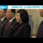 北朝鮮外相　日米韓3カ国の外相共同声明に反発　朝ロ関係は発展させる(2023年10月28日)