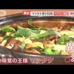 マツタケ収穫たった3本　「何もねえ」不作で閉店検討…「秋の味覚」長引く残暑で明暗【羽鳥慎一 モーニングショー】(2023年10月10日)