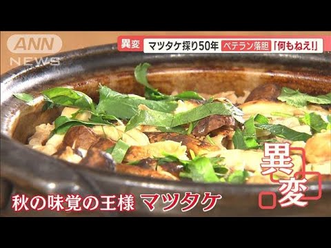 マツタケ収穫たった3本　「何もねえ」不作で閉店検討…「秋の味覚」長引く残暑で明暗【羽鳥慎一 モーニングショー】(2023年10月10日)