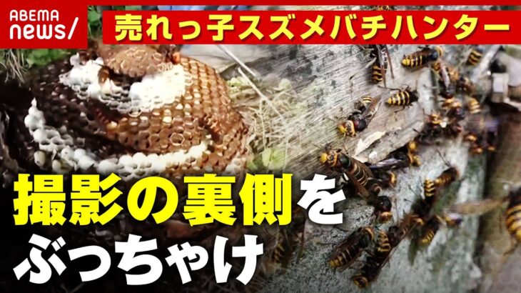 【取材殺到】「テレビ好みの巣を常に3つキープ」売れっ子スズメバチハンターが撮影の裏側をぶっちゃけ｜ABEMA的ニュースショー