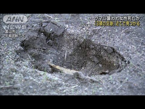 クマに襲われ女性死亡か　「3頭の足跡」近くで見つかる　富山(2023年10月18日)