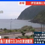 八丈島で津波観測　高さ30センチ｜TBS NEWS DIG