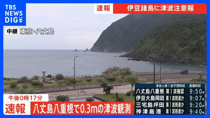 八丈島で津波観測　高さ30センチ｜TBS NEWS DIG