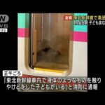 【速報】 東北新幹線で薬品漏れか 子ども含む4人けが JR仙台駅(2023年10月9日)