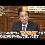 “4万円減税”に野党批判「給付を」　与党内からも疑問の声「全員に減税あり得ない」【もっと知りたい！】(2023年10月25日)