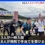 42人がスズメバチに刺される　うち3人が一時、入院　トレイル大会で　岐阜・高山市｜TBS NEWS DIG