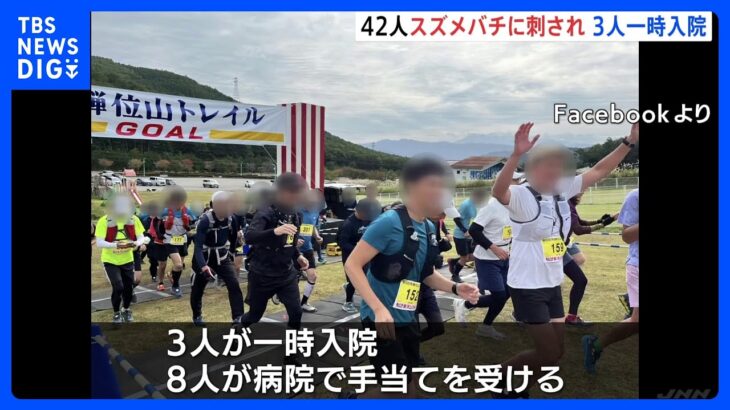 42人がスズメバチに刺される　うち3人が一時、入院　トレイル大会で　岐阜・高山市｜TBS NEWS DIG