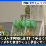 市街地で女性4人がクマに襲われけが　北秋田市｜TBS NEWS DIG