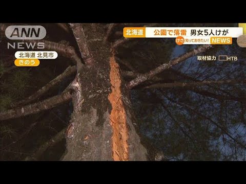 公園に落雷　男女5人けが　北海道【知っておきたい！】(2023年10月2日)