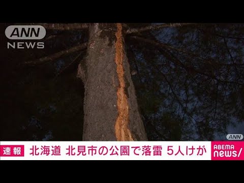 【速報】北海道北見市の公園で落雷　5人けが(2023年10月1日)
