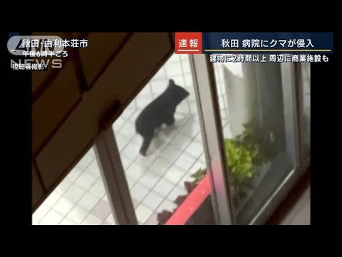 6人が襲われ…秋田県内でクマの出没相次ぐ　由利本荘市の病院に侵入　現場から生中継(2023年10月19日)