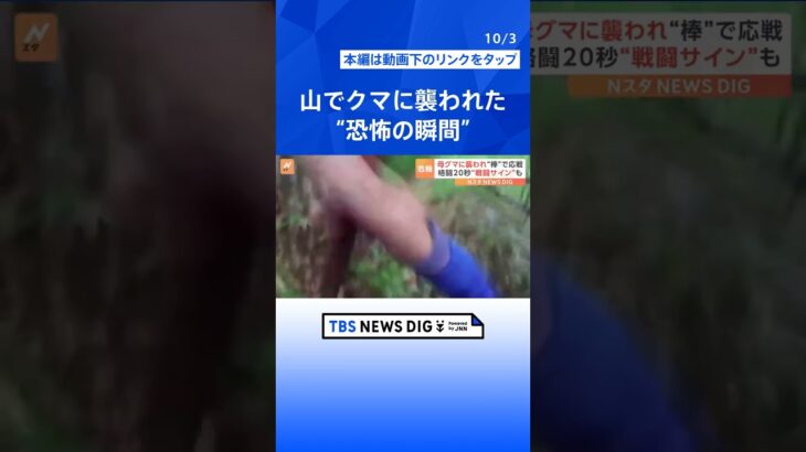 クマに襲われる“恐怖の瞬間”！命の危機に“棒”で応戦「母グマが子を…」発見時に危険な“戦闘のサイン”とは？｜TBS NEWS DIG#shorts