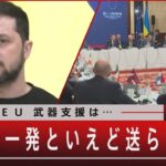 『割れるＥＵ 武器支援は…「銃弾一発といえど送らない」』【10月3日（火）#報道1930】｜TBS NEWS DIG